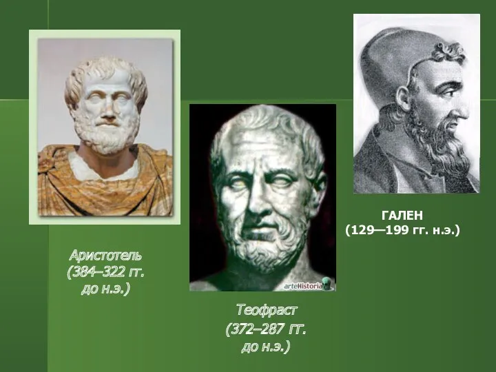 Аристотель (384–322 гг. до н.э.) ГАЛЕН (129—199 гг. н.э.) Теофраст (372–287 гг. до н.э.)