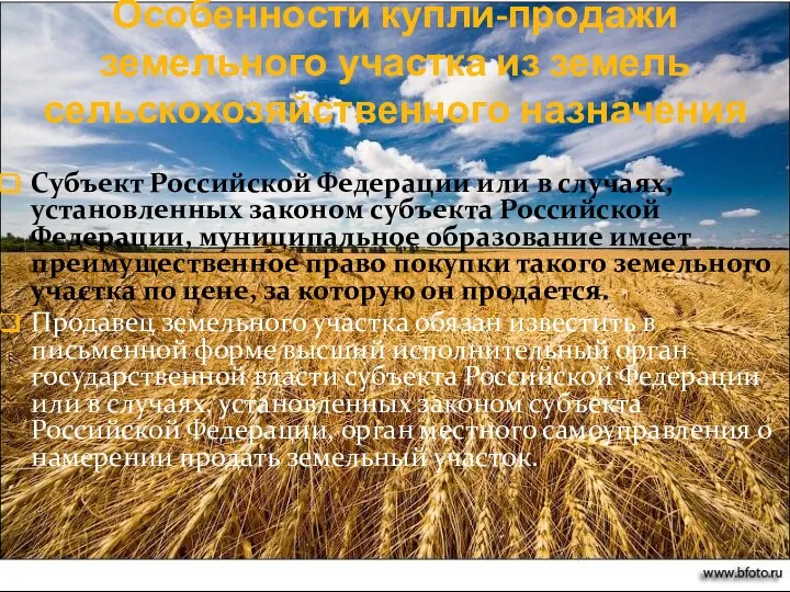 Особенности купли-продажи земельного участка из земель сельскохозяйственного назначения Субъект Российской