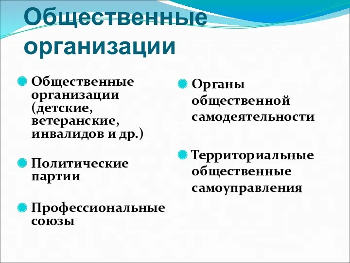 Общественные организации Общественные организации (детские, ветеранские, инвалидов и др.) Политические