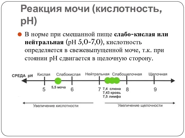 Реакция мочи (кислотность, рН) В норме при смешанной пище слабо-кислая