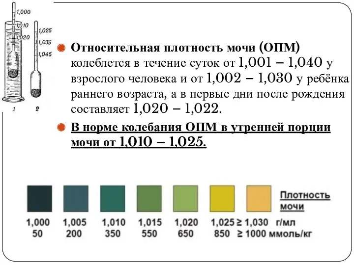 Относительная плотность мочи (ОПМ) колеблется в течение суток от 1,001