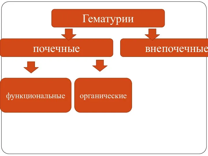 Гематурии внепочечные почечные функциональные органические