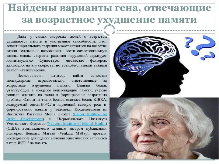 Найдены варианты гена, отвечающие за возрастное ухудшение памяти Даже у