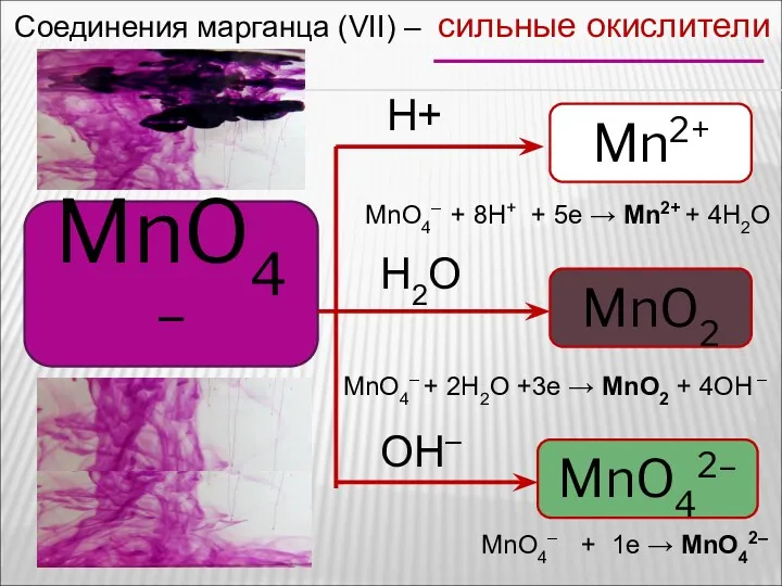 Соединения марганца (VII) – сильные окислители MnO4– Mn2+ MnO2 MnO42–