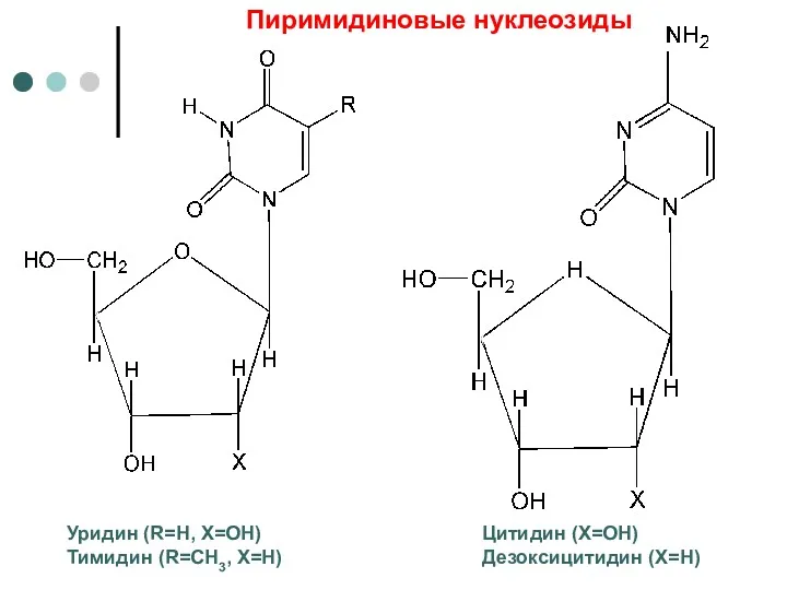 Уридин (R=H, X=OH) Тимидин (R=CH3, X=H) Цитидин (Х=ОН) Дезоксицитидин (Х=Н) Пиримидиновые нуклеозиды
