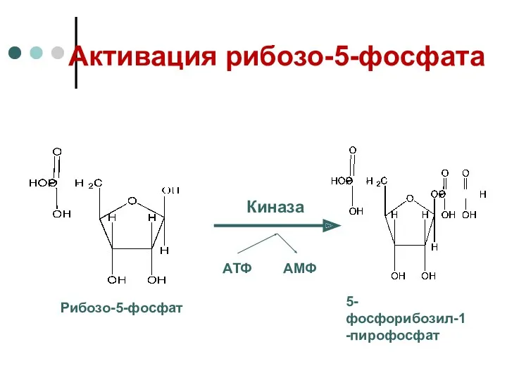 Активация рибозо-5-фосфата АТФ АМФ Киназа Рибозо-5-фосфат 5-фосфорибозил-1-пирофосфат