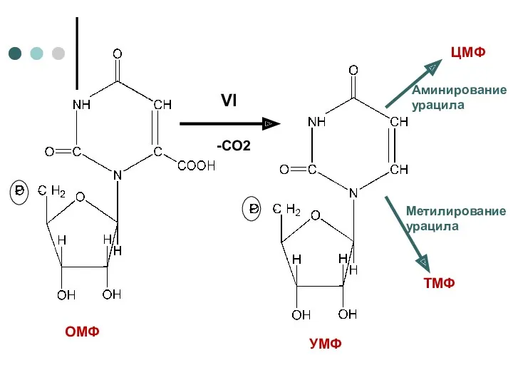 VI -CO2 ЦМФ ТМФ Метилирование урацила Аминирование урацила ОМФ УМФ