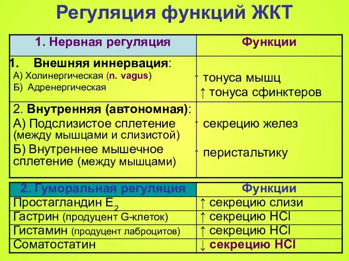 Регуляция функций ЖКТ