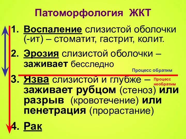 Воспаление слизистой оболочки (-ит) – стоматит, гастрит, колит. Эрозия слизистой