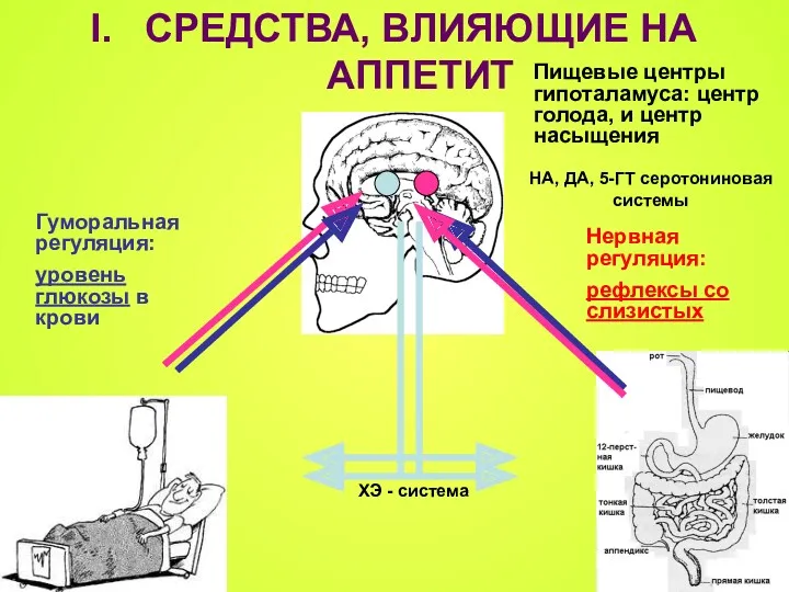 СРЕДСТВА, ВЛИЯЮЩИЕ НА АППЕТИТ НА, ДА, 5-ГТ серотониновая системы Пищевые