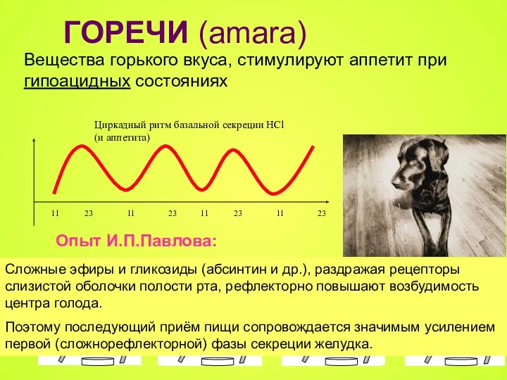 ГОРЕЧИ (amara) Вещества горького вкуса, стимулируют аппетит при гипоацидных состояниях