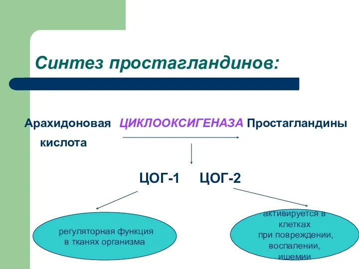 Синтез простагландинов: Арахидоновая ЦИКЛООКСИГЕНАЗА Простагландины кислота ЦОГ-1 ЦОГ-2 регуляторная функция