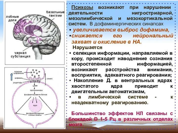 Психозы возникают при нарушении деятельности нигростриарной, мезолимбической и мезокортикальной систем.