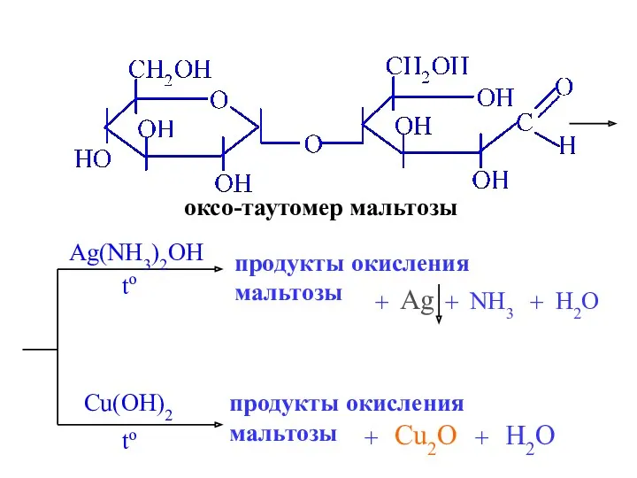 оксо-таутомер мальтозы Ag(NH3)2OH продукты окисления мальтозы Ag + NH3 +