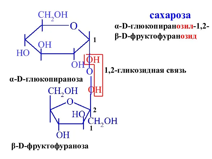 OH OH α-D-глюкопираноза β-D-фруктофураноза 1 2 O 1,2-гликозидная связь сахароза α-D-глюкопиранозил-1,2- β-D-фруктофуранозид