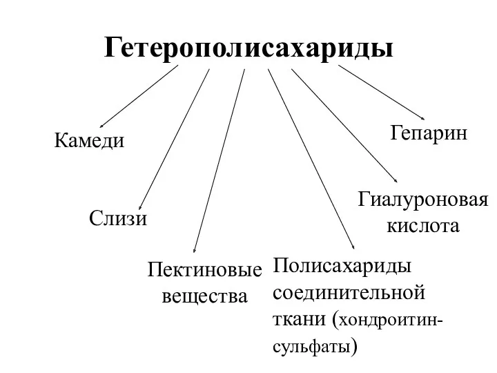 Гетерополисахариды Камеди Слизи Пектиновые вещества Полисахариды соединительной ткани (хондроитин- сульфаты) Гиалуроновая кислота Гепарин