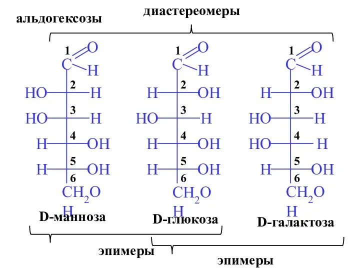 D-глюкоза D-галактоза D-манноза эпимеры эпимеры диастереомеры альдогексозы