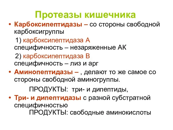 Протеазы кишечника Карбоксипептидазы – со стороны свободной карбоксигруппы 1) карбоксипептидаза