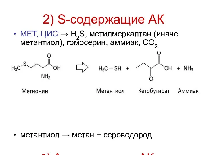 2) S-содержащие АК МЕТ, ЦИС → H2S, метилмеркаптан (иначе метантиол),