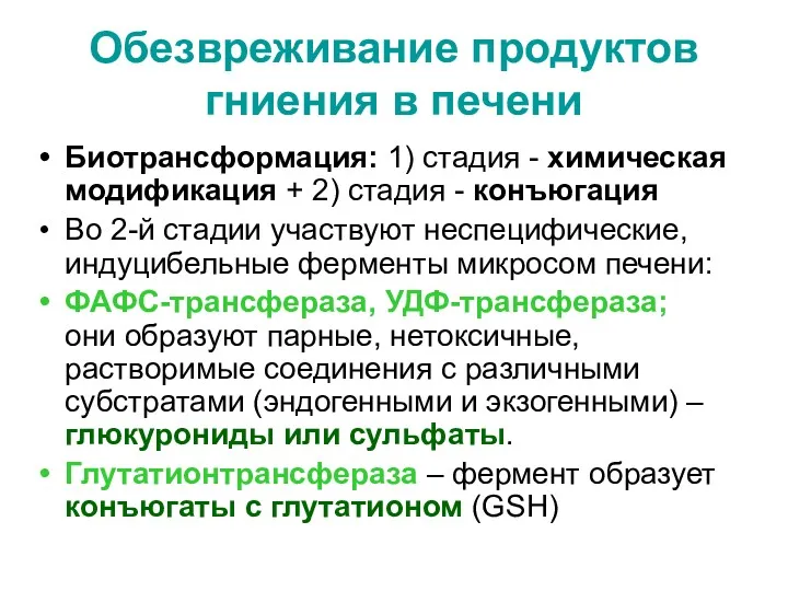 Обезвреживание продуктов гниения в печени Биотрансформация: 1) стадия - химическая