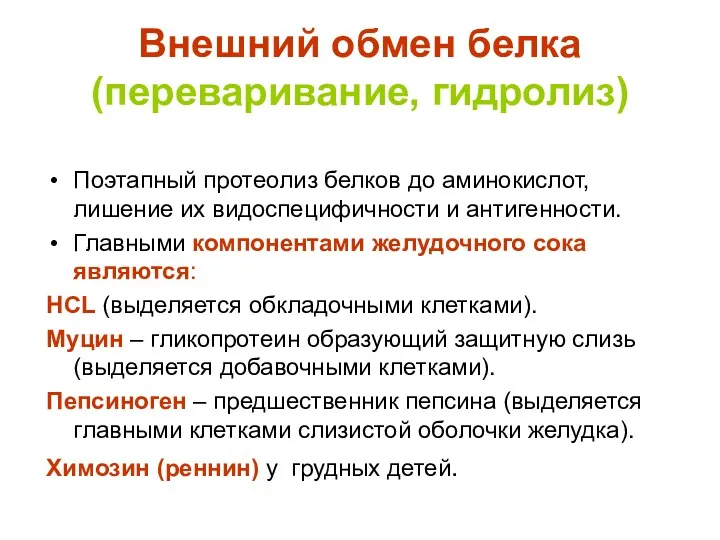 Внешний обмен белка (переваривание, гидролиз) Поэтапный протеолиз белков до аминокислот,