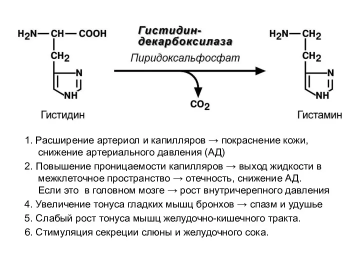 1. Расширение артериол и капилляров → покраснение кожи, снижение артериального