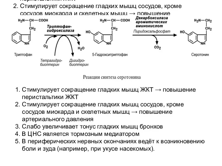 1. Стимулирует сокращение гладких мышц ЖКТ → повышение перистальтики ЖКТ