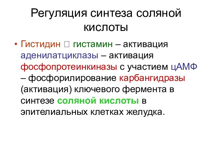 Регуляция синтеза соляной кислоты Гистидин ? гистамин – активация аденилатциклазы