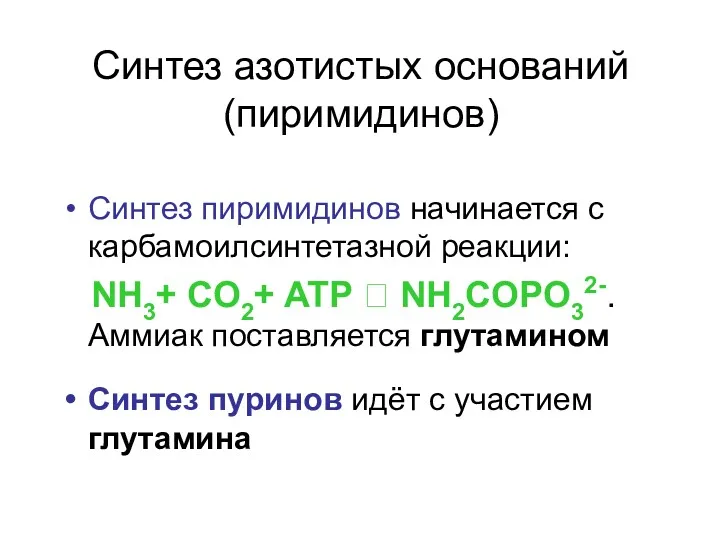 Синтез азотистых оснований (пиримидинов) Синтез пиримидинов начинается с карбамоилсинтетазной реакции: