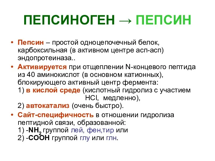 ПЕПСИНОГЕН → ПЕПСИН Пепсин – простой одноцепочечный белок, карбоксильная (в