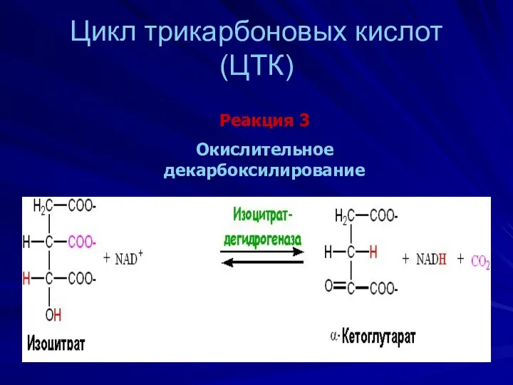 Цикл трикарбоновых кислот (ЦТК) Реакция 3 Окислительное декарбоксилирование