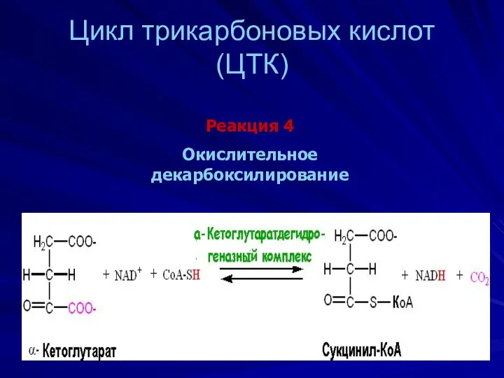Цикл трикарбоновых кислот (ЦТК) Реакция 4 Окислительное декарбоксилирование