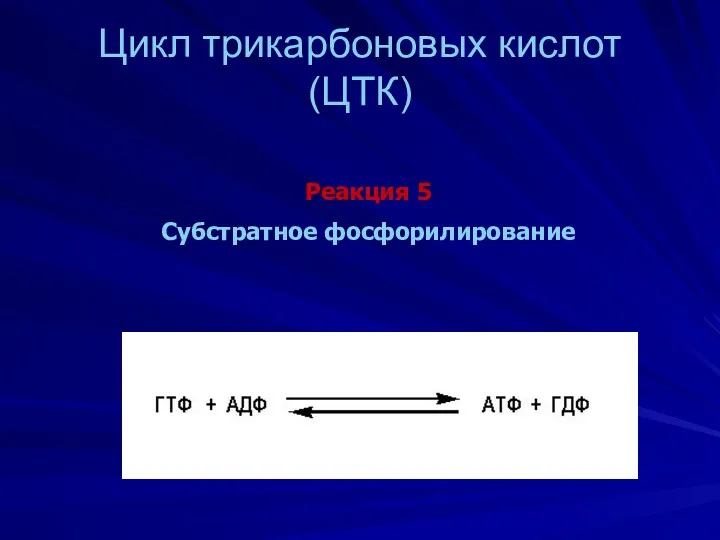 Цикл трикарбоновых кислот (ЦТК) Реакция 5 Субстратное фосфорилирование
