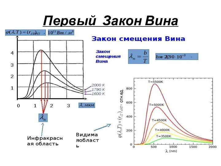 Первый Закон Вина