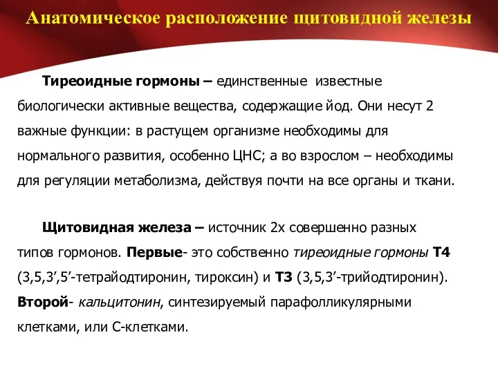 Анатомическое расположение щитовидной железы Тиреоидные гормоны – единственные известные биологически