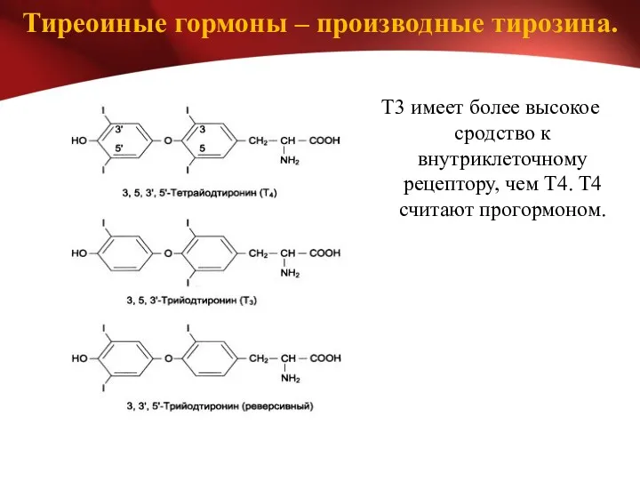 Тиреоиные гормоны – производные тирозина. Т3 имеет более высокое сродство