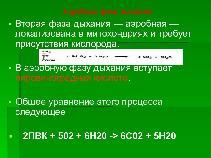 Аэробная фаза дыхания Вторая фаза дыхания — аэробная — локализована