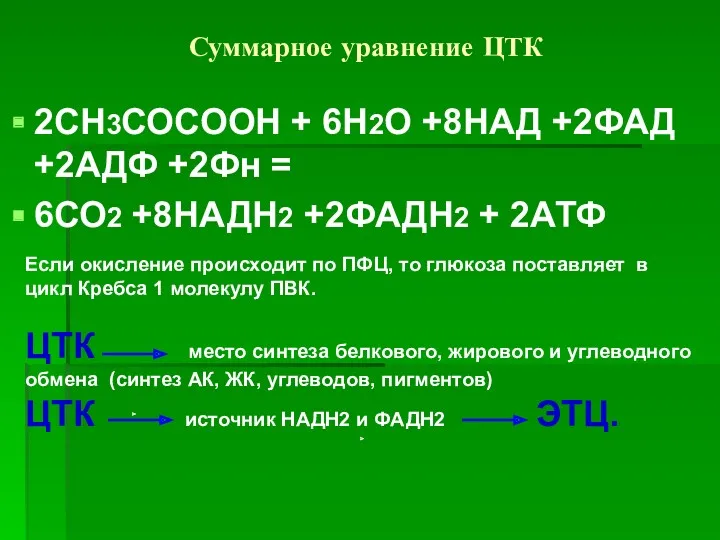 Суммарное уравнение ЦТК 2СН3СОСООН + 6Н2О +8НАД +2ФАД +2АДФ +2Фн