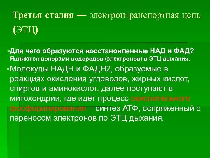 Третья стадия — электронтранспортная цепь (ЭТЦ) Для чего образуются восстановленные