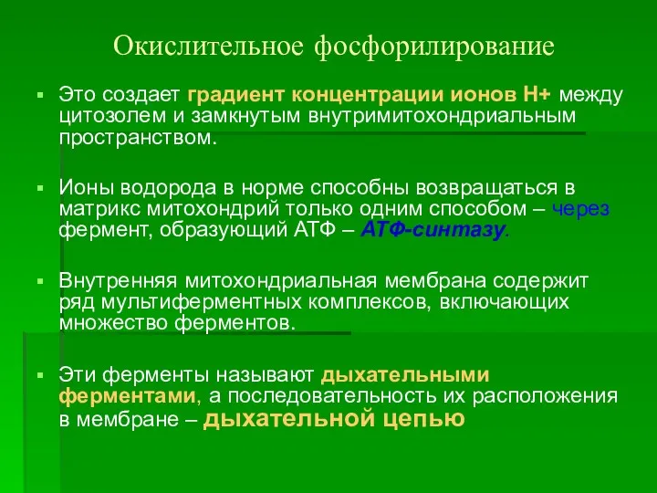 Окислительное фосфорилирование Это создает градиент концентрации ионов Н+ между цитозолем