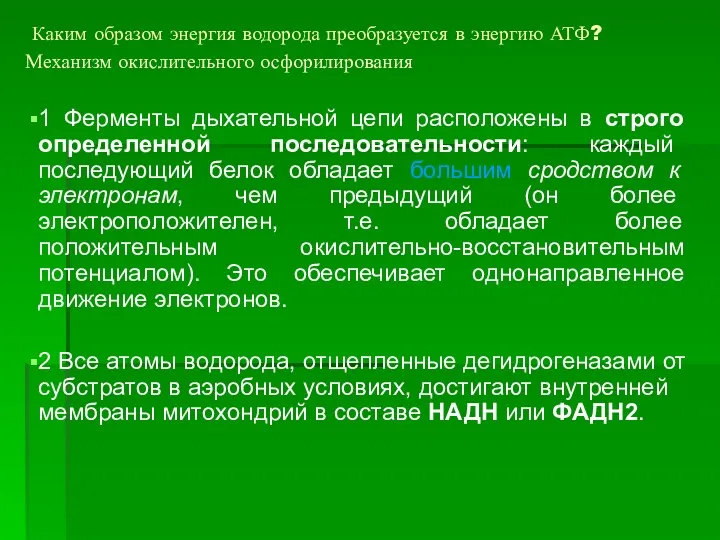 Каким образом энергия водорода преобразуется в энергию АТФ? Механизм окислительного