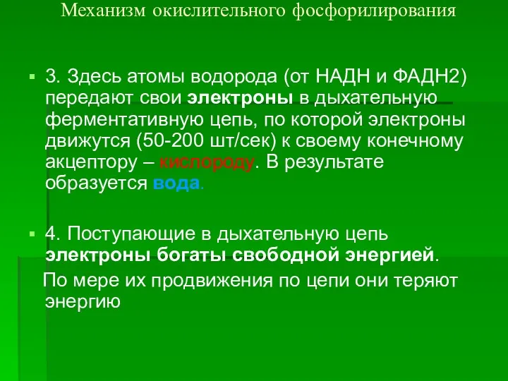 Механизм окислительного фосфорилирования 3. Здесь атомы водорода (от НАДН и