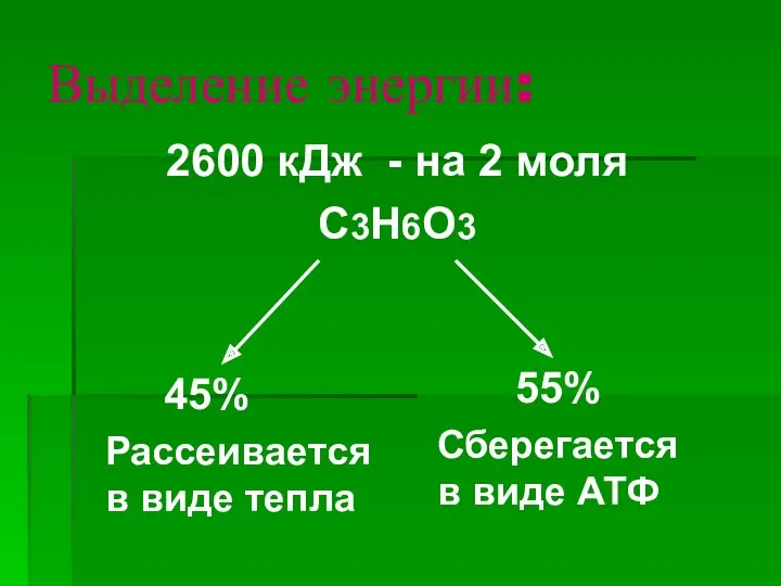 Выделение энергии: 2600 кДж - на 2 моля С3Н6О3 45%