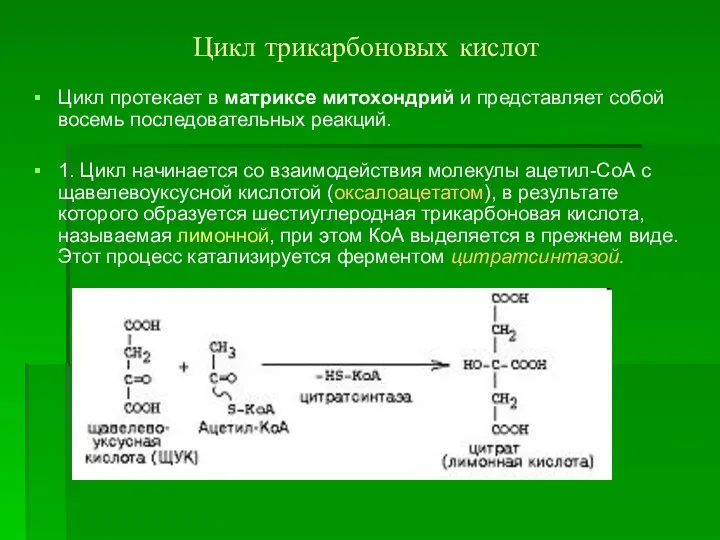 Цикл трикарбоновых кислот Цикл протекает в матриксе митохондрий и представляет