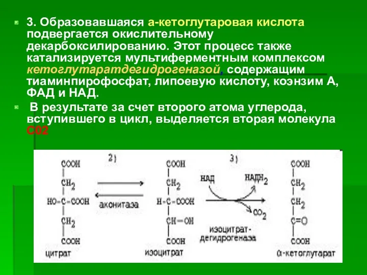 3. Образовавшаяся а-кетоглутаровая кислота подвергается окислительному декарбоксилированию. Этот процесс также