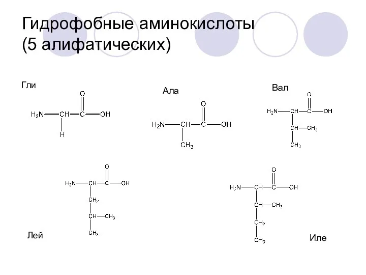 Гидрофобные аминокислоты (5 алифатических) Гли Ала Вал Лей Иле