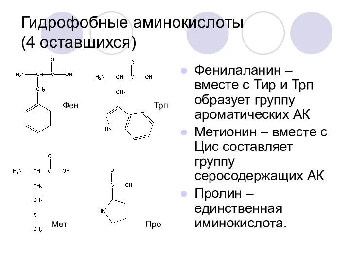 Гидрофобные аминокислоты (4 оставшихся) Фенилаланин – вместе с Тир и