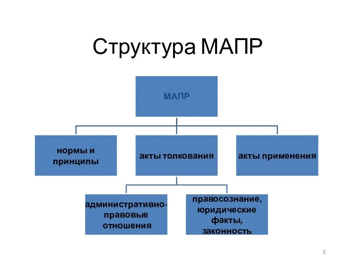 Структура МАПР