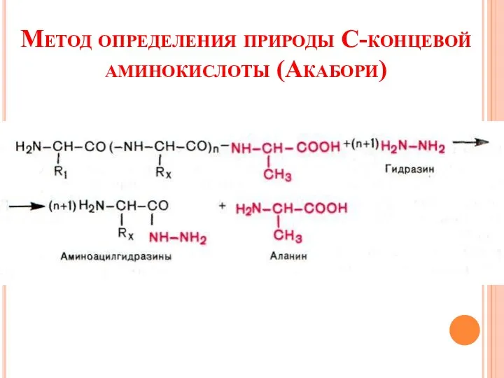 Метод определения природы С-концевой аминокислоты (Акабори)