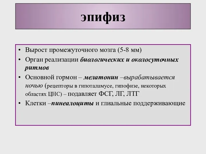 Вырост промежуточного мозга (5-8 мм) Орган реализации биологических и околосуточных